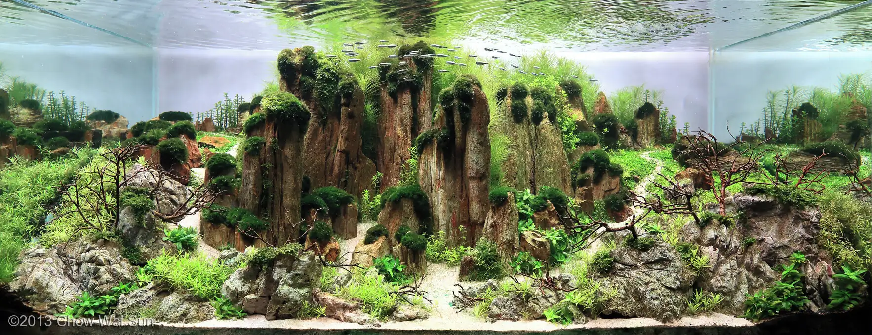 Happiness is the way - Honour Prize IAPC 2013 - Dave Chow / HongKong China